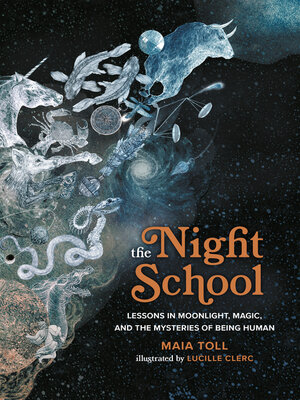 cover image of The Night School